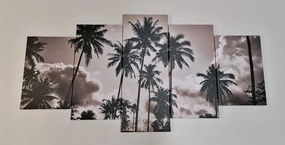 Εικόνα 5 τμημάτων καρύδας στην παραλία σε μαύρο & άσπρο - 100x50