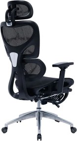 Καρέκλα γραφείου διευθυντή LINUX mesh μαύρο 61x63x117/125