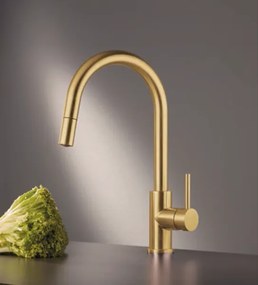 Eurorama 702600 Gold Brushed - Μπαταρία Κουζίνας με Ντους