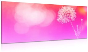 Εικόνα πικραλίδας σε ροζ φόντο - 120x60