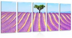Εικόνα 5 μερών χωράφι με λεβάντα της Προβηγκίας - 100x50