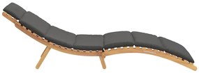 vidaXL Ξαπλώστρα Σκούρο γκρι 188 x 55 x 59 εκ. Μασίφ ξύλο teak
