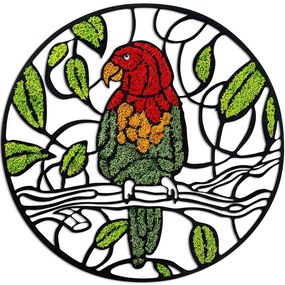 Διακοσμητικό Τοίχου Parrot Με Βρύο 931NTR1121 Φ46cm Multi Wallity Mdf