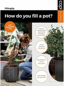 Γλάστρα Capi Europe Χρυσό Πλαστική ύλη