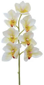 Τεχνητό Λουλούδι Σιμπίντιουμ 00-00-1854-1 62cm Ecru Marhome Συνθετικό Υλικό