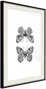 Αφίσα - Butterfly Collection I - 30x45 - Μαύρο - Με πασπαρτού