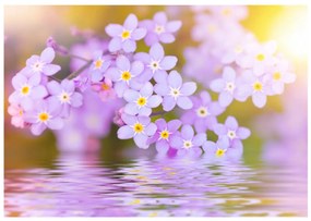 Φωτοταπετσαρία -  Violet Petals In Bloom 400x280