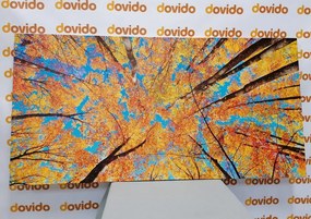 Εικόνα από φθινοπωρινές κορυφές δέντρων - 120x60