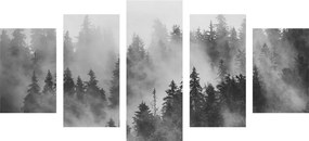 Εικόνα 5 τμημάτων βουνά στην ομίχλη σε μαύρο & άσπρο - 200x100