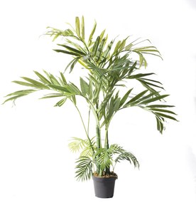 Supergreens Τεχνητό Δέντρο Αρχοντοφοίνικας Betel 200 εκ. - 2280-6 - 2280-6