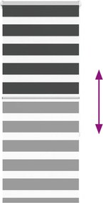 vidaXL Ζέβρα τυφλή Μαύρο Πλάτος υφάσματος 60,9 εκ. Πολυεστέρας