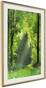 Αφίσα - Forest Path - 20x30 - Χρυσό - Με πασπαρτού