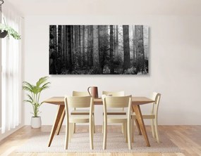 Εικόνα του μυστικού του δάσους σε ασπρόμαυρο - 100x50