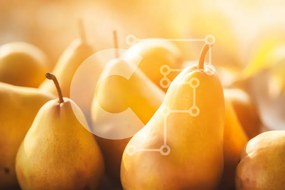 Σετ των 2 Intra Συλλεκτικό Ξύλινο Παζλ Plywood 4mm - Ομάδα ώριμων αχλαδιών σε ξύλινη επιφάνεια Σε Ξύλινο Κουτί - Διαστάσεις: 10x10 cm – 25 κομμάτια