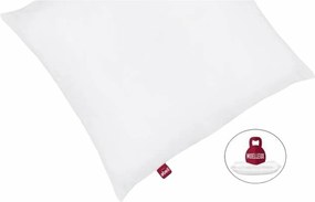 μαξιλάρι Abeil 60 x 60 cm (x2)