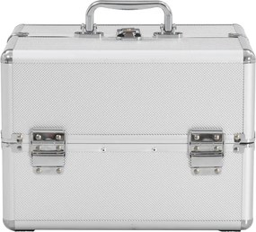 vidaXL Βαλίτσα Μακιγιάζ Ασημί 22 x 30 x 21 εκ. Αλουμινίου