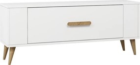 Stewehome Μοντέρνο έπιπλο τηλεόρασης με ντουλάπι 120x26x48 cm