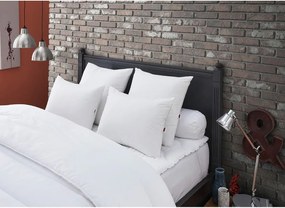 μαξιλάρι DODO OSM65 Λευκό 65 x 65 cm