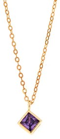 Μενταγιόν Senza Silver 925 Gold Plated