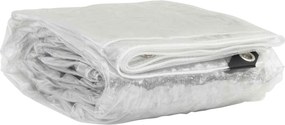 vidaXL Κάλυμμα Φυτών Διαφανές 3 x 4 m PVC