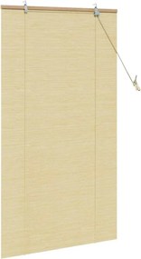 vidaXL Ρόλερ με κουρτίνες Φύση 80 x 160 cm Μπαμπού