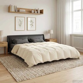 vidaXL Κουβέρτα ολόκληρου του χρόνου 220 x 240 cm