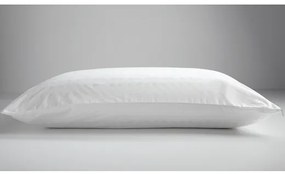 LATEX STANDARD ΜΑΞΙΛΑΡΙ 50Χ70
