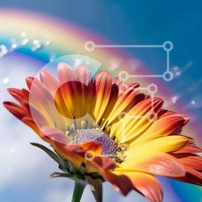 Intra Συλλεκτικό Ξύλινο Παζλ Plywood  4mm - Rainbow and Daisy - Μια πολύχρωμη και όμορφη σκηνή Σε Ξύλινο Κουτί - Διαστάσεις: 10x10 cm – 25 κομμάτια