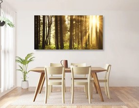 Εικόνα δάσους ηλιόλουστη - 120x60