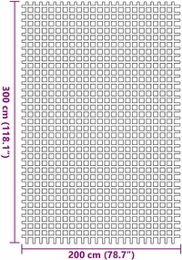 vidaXL Χαλκάκι Σκηνής Ανθρακί 300 x 200 cm Πολυεστέρας