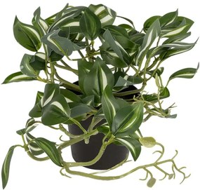 Τεχνητό Φυτό Zebrina 20960 Φ45x22cm Green GloboStar Πολυαιθυλένιο