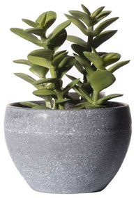 Τεχνητό Φυτό Κρασσούλα 8260-6 9x13,5cm Green Supergreens Polyethylene