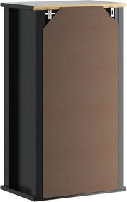 vidaXL Ντουλάπι Μπάνιου Επιτοίχιο BERG Μαύρο 40x27x71,5 εκ Μασίφ Πεύκο