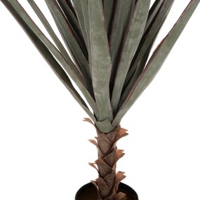 ΔΙΑΚΟΣΜΗΤΙΚΟ ΣΥΝΘΕΤΙΚΟ ΦΥΤΟ HM7987 SISAL AGAVE ΣΕ ΓΛΑΣΤΡΑ 120Υεκ. - Πολυαιθυλένιο - HM7987