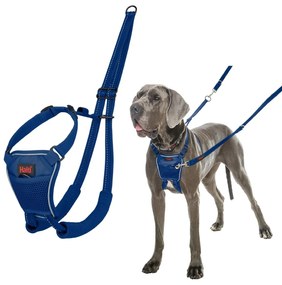 Λουρί Σκύλου Company of Animals COBALT Μπλε L