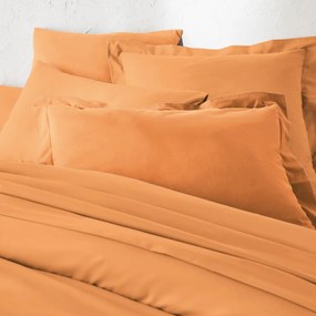 Βαμβακερή μονόχρωμη παπλωματοθήκη, Scénario