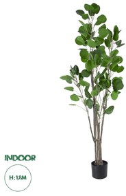 GloboStar® Artificial Garden POLYSCIAS BALFOURIANA TREE 20375 Τεχνητό Διακοσμητικό Φυτό Πολυσκιά Υ180cm