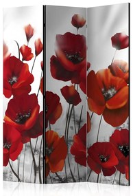 Διαχωριστικό με 3 τμήματα - Poppies in the Moonlight [Room Dividers] 135x172