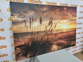 Εικόνα ηλιοβασίλεμα στην παραλία - 90x60