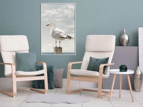 Αφίσα - Curious Seagull - 40x60 - Χρυσό - Χωρίς πασπαρτού