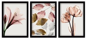 Πίνακας "Pink Flowers" Megapap 3 τμχ. σε πλαίσιο 35x45x2εκ.