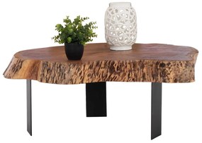 ΤΡΑΠΕΖΙ ΣΑΛΟΝΙΟΥ BRIGGS ΜΕ ΞΥΛΟ ΑΚΑΚΙΑΣ HM8776.11 80-87x50-83x40Yεκ.