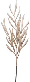 MarHome FOAM ΕΚΡΟΥ-ΦΥΣΙΚΟ ΚΛΑΔΙ ΦΥΛΛΑ 65x115cm 12/120ΚΙΒ  00-6134-2