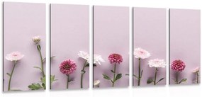 Σύνθεση εικόνας 5 μερών από ροζ χρυσάνθεμα - 200x100