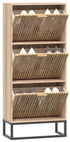 vidaXL Παπουτσοθήκη 52 x 25 x 120 εκ. από Επεξεργασμένο Ξύλο