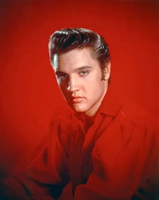 Φωτογραφία Τέχνης Elvis Presley 1956, (30 x 40 cm)