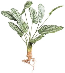 Τεχνητή Χωνευτή Καλαθέα Orbifolia 7431-7 25x61cm Green Supergreens Polyethylene