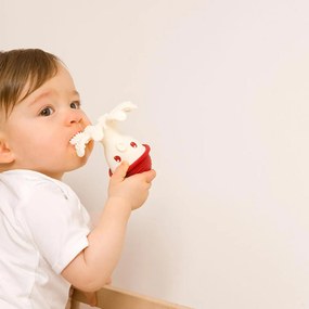Μασητικό Baby To Love Χταπόδι BTL703617 Κόκκινο