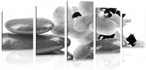 Εικόνα 5 τμημάτων SPA πέτρες και ορχιδέα σε ασπρόμαυρο - 100x50