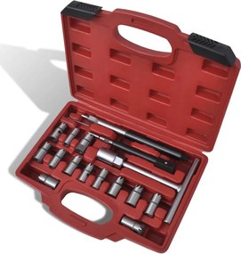 Σετ Καθαρισμού Έδρας Μπεκ Ψεκασμού Diesel 17 τεμ.